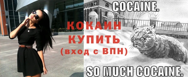 гашик Богородицк