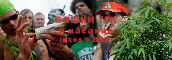 apvp Богданович