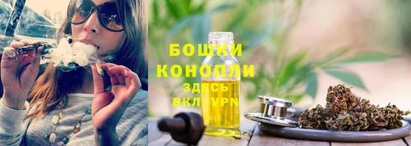 гашик Богородицк