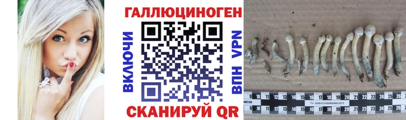 Псилоцибиновые грибы Magic Shrooms Киржач