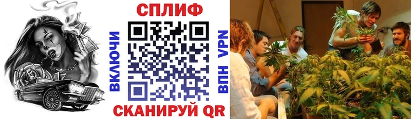 Конопля планчик Киржач
